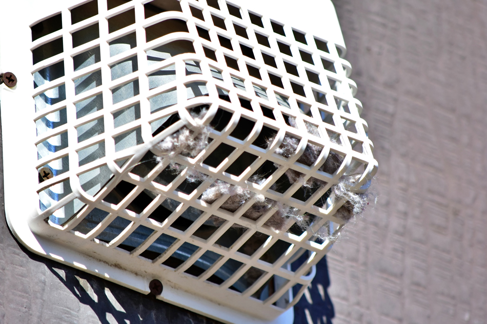 A-dryer-vent-fire-hazard-1442410522 Dryer lint build up on an outside vent creates a fire hazard.